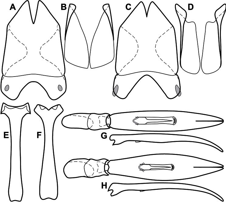 Figure 94.