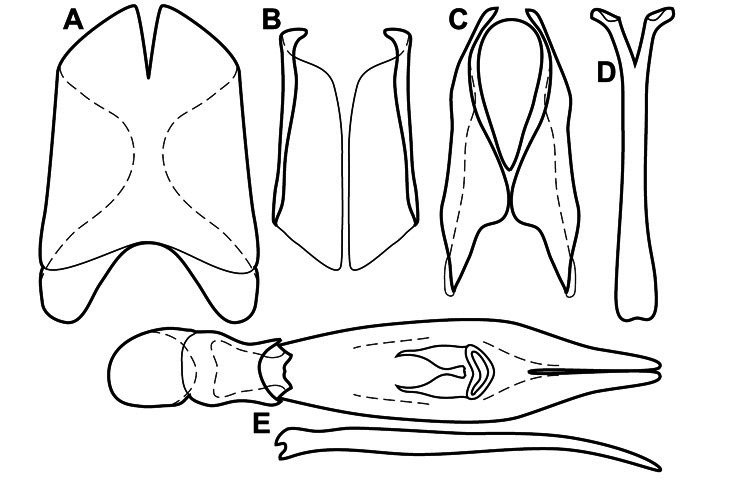 Figure 89.