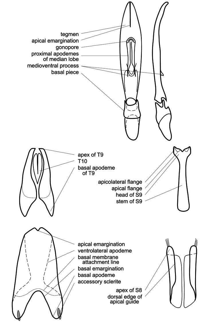 Figure 3.