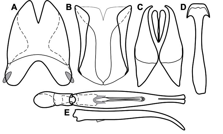 Figure 86.