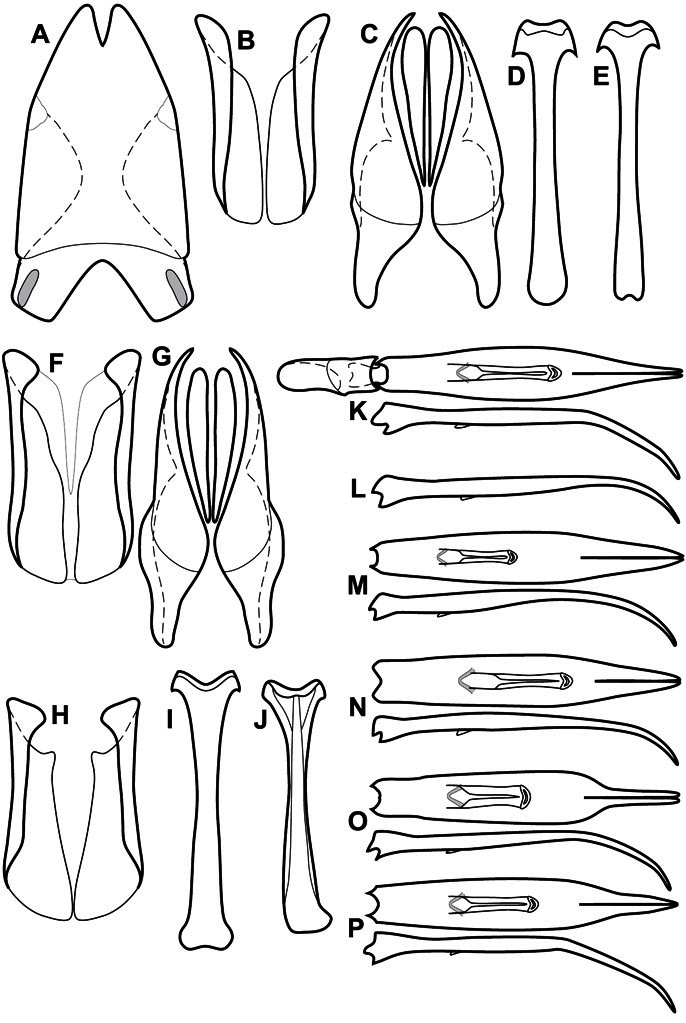 Figure 48.