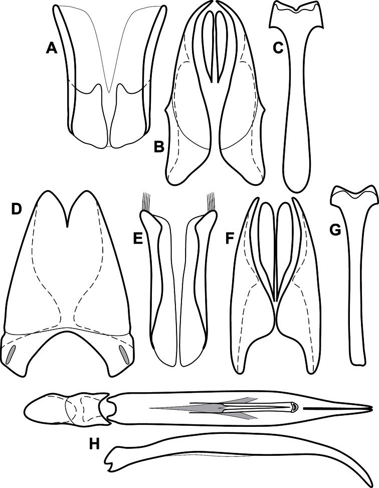 Figure 51.