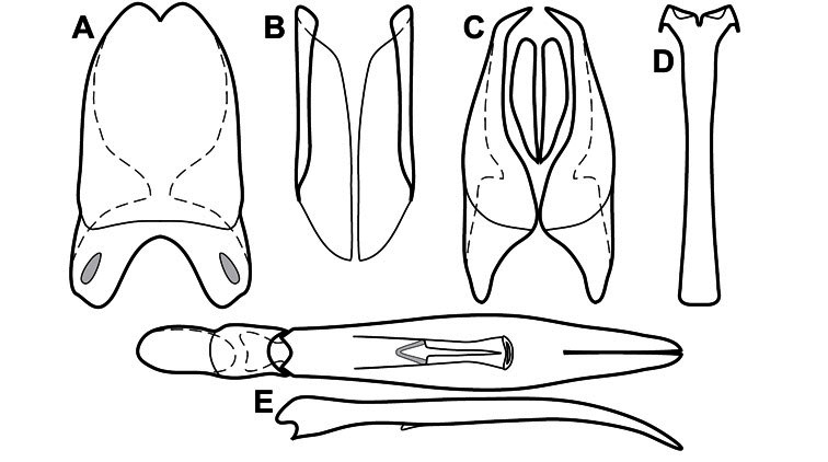 Figure 97.