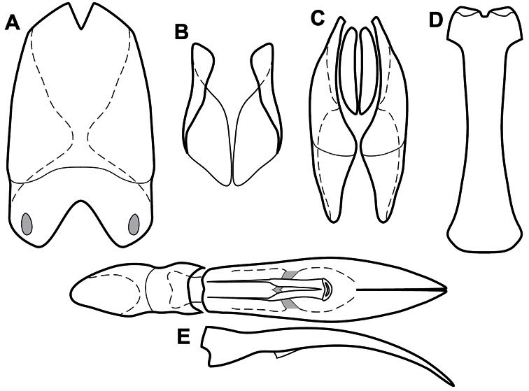 Figure 44.