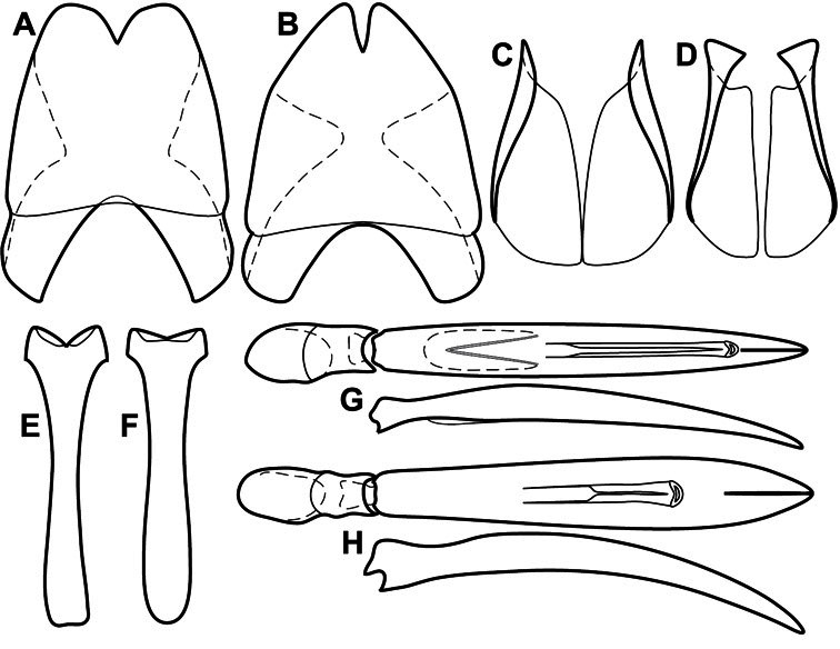 Figure 79.