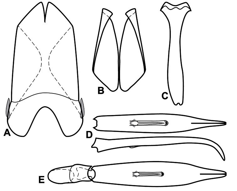 Figure 23.