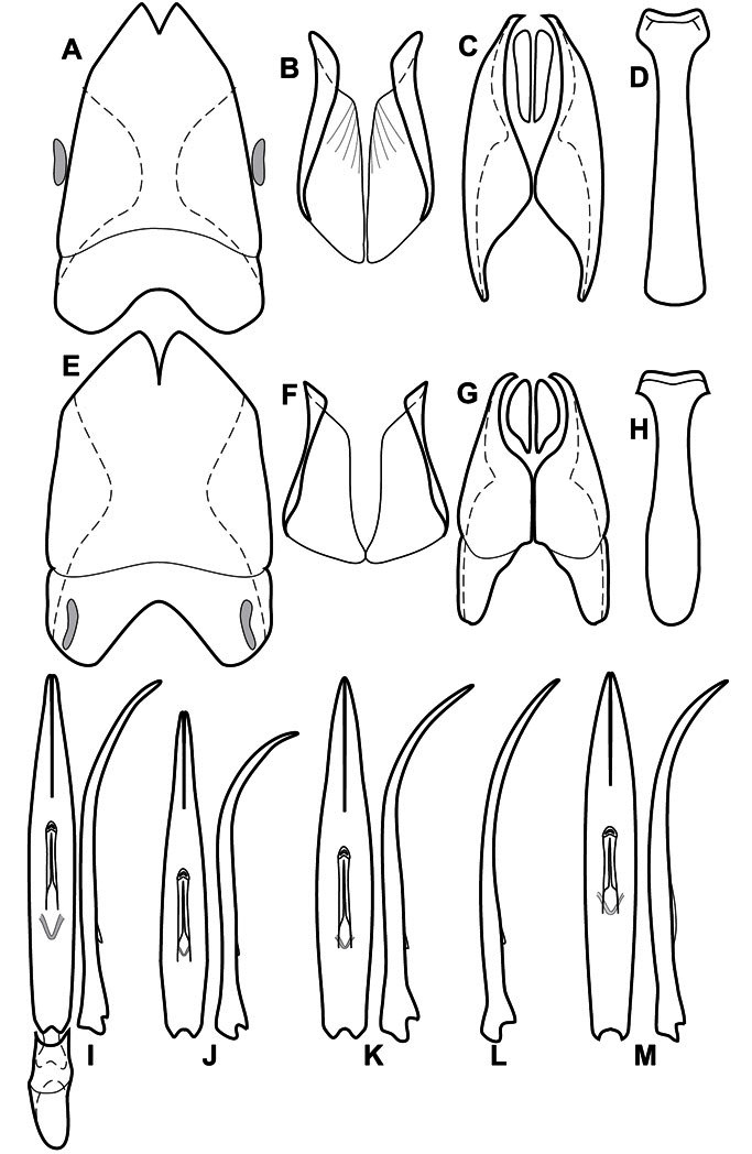 Figure 57.