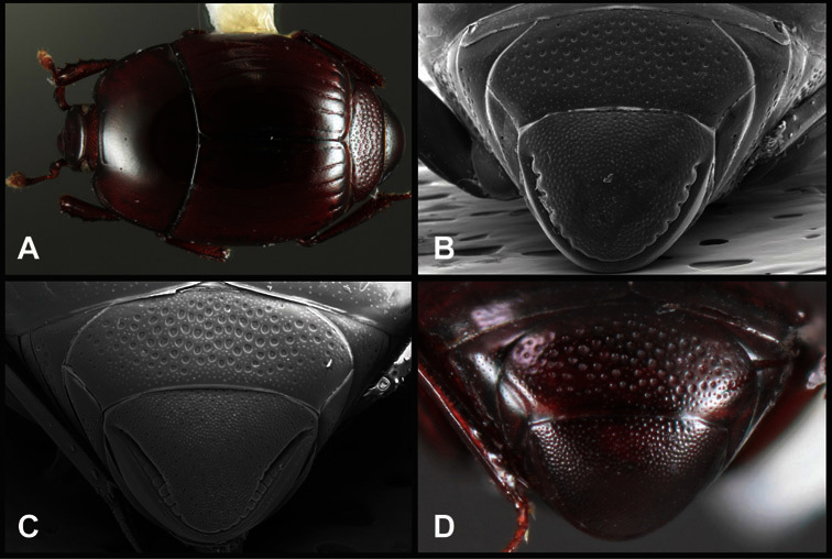 Figure 15.