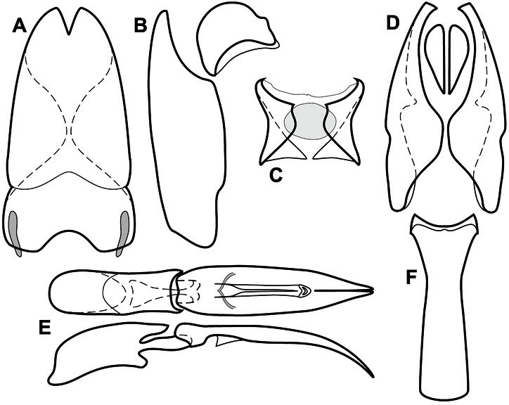 Figure 61.