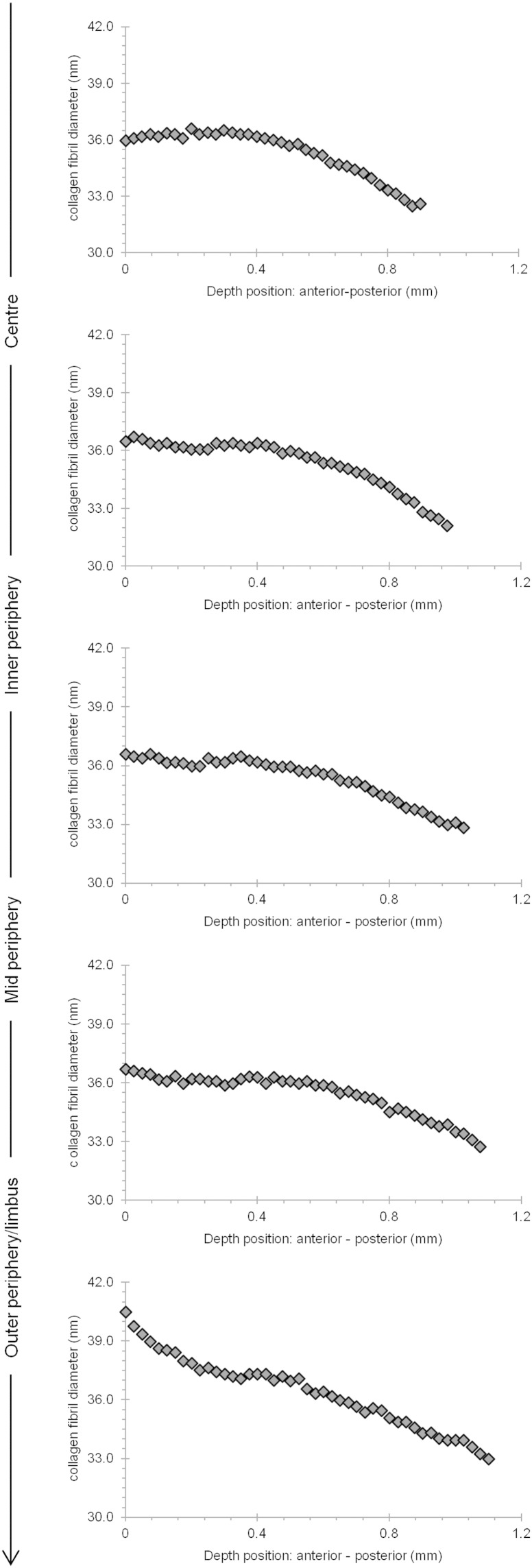 Fig. 7