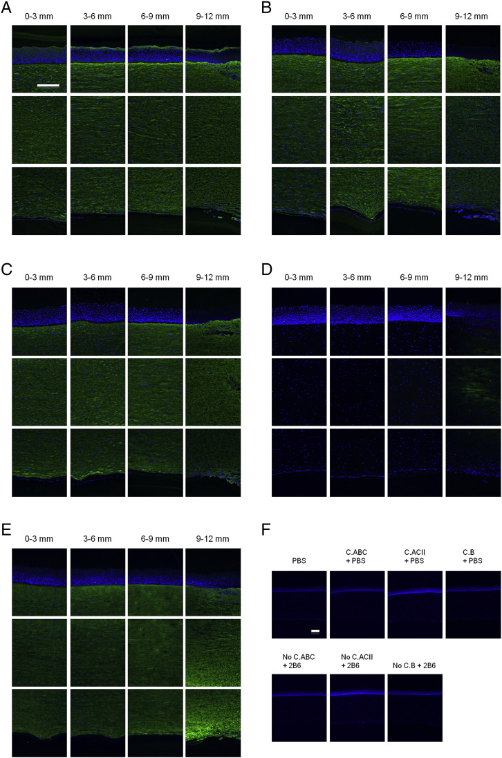 Fig. 3