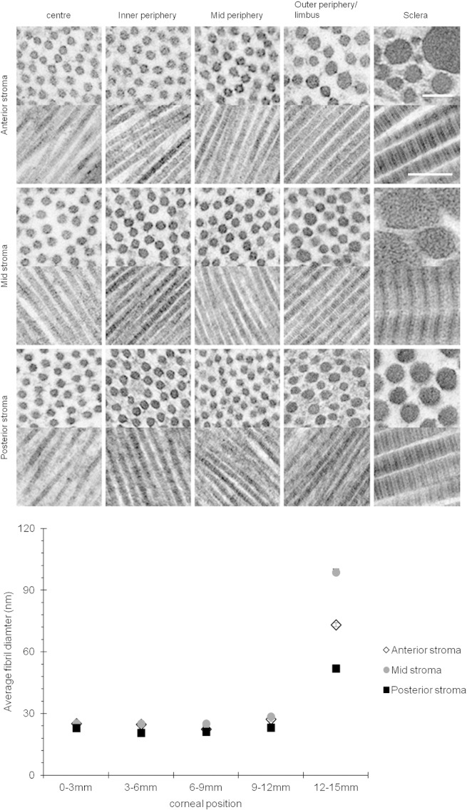 Fig. 5