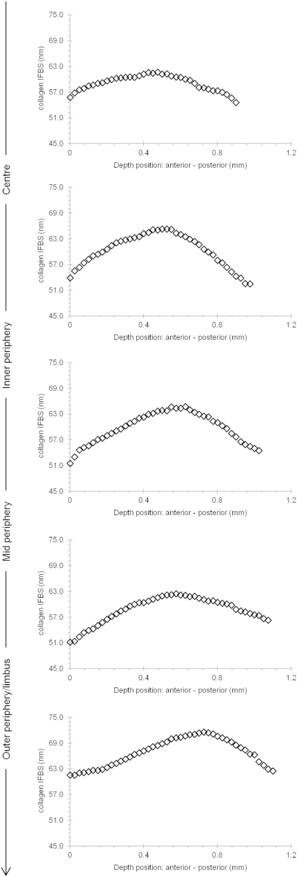 Fig. 8