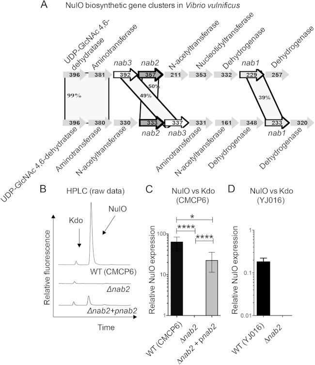 FIG 1