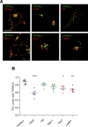 Figure 2—figure supplement 2.