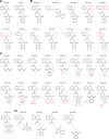 Figure 1—figure supplement 2.