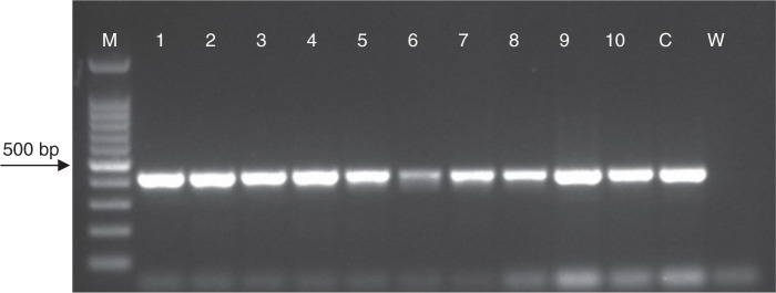 Figure 2: