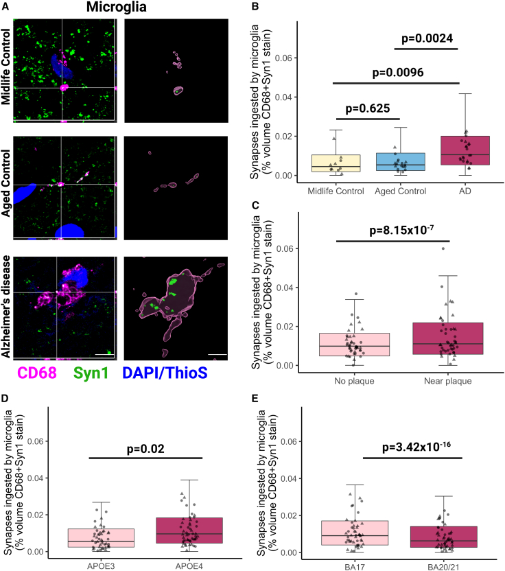 Figure 2