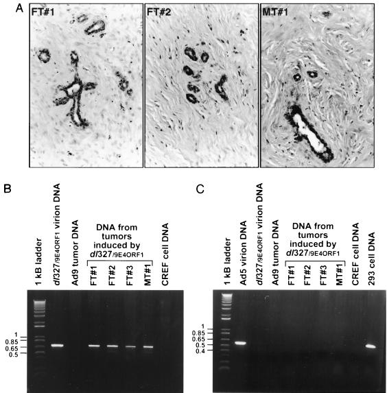 FIG. 9