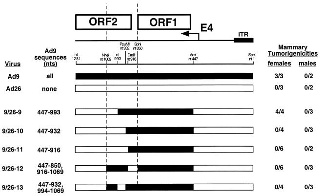 FIG. 6