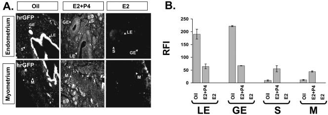 FIG. 6.