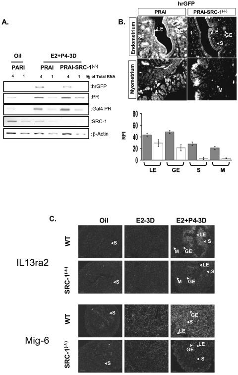 FIG. 10.