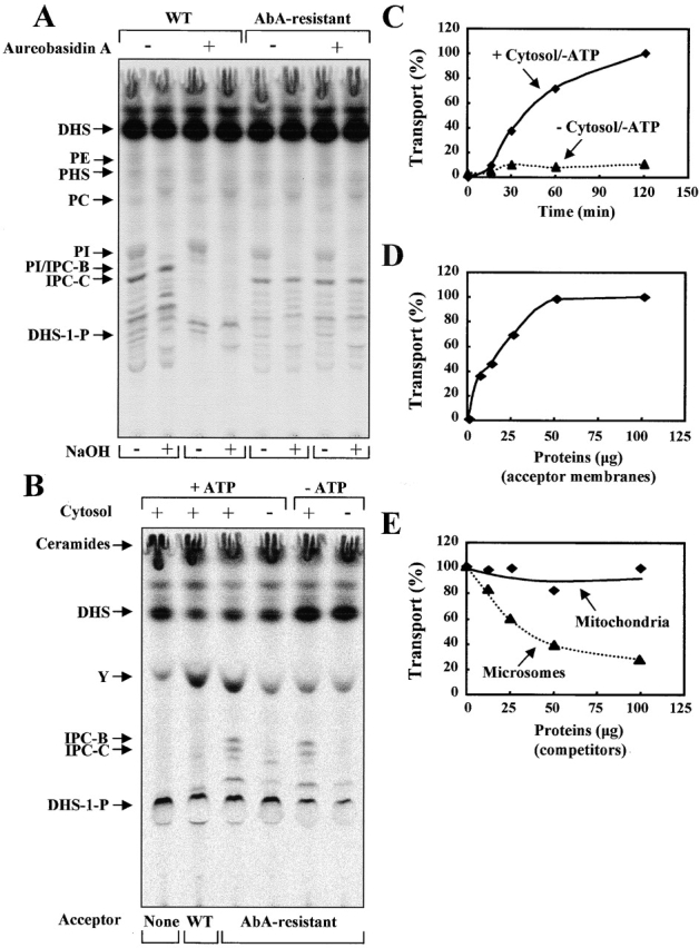 Figure 5.