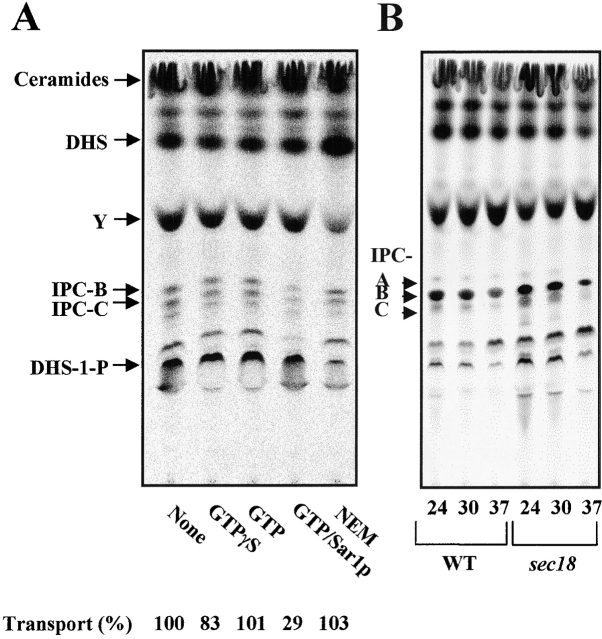 Figure 6.