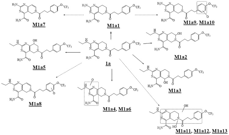 Fig 4