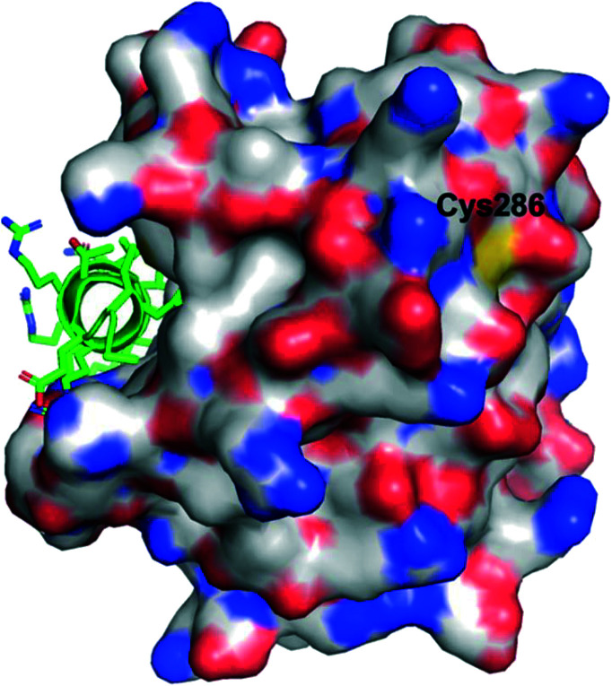 Fig. 7