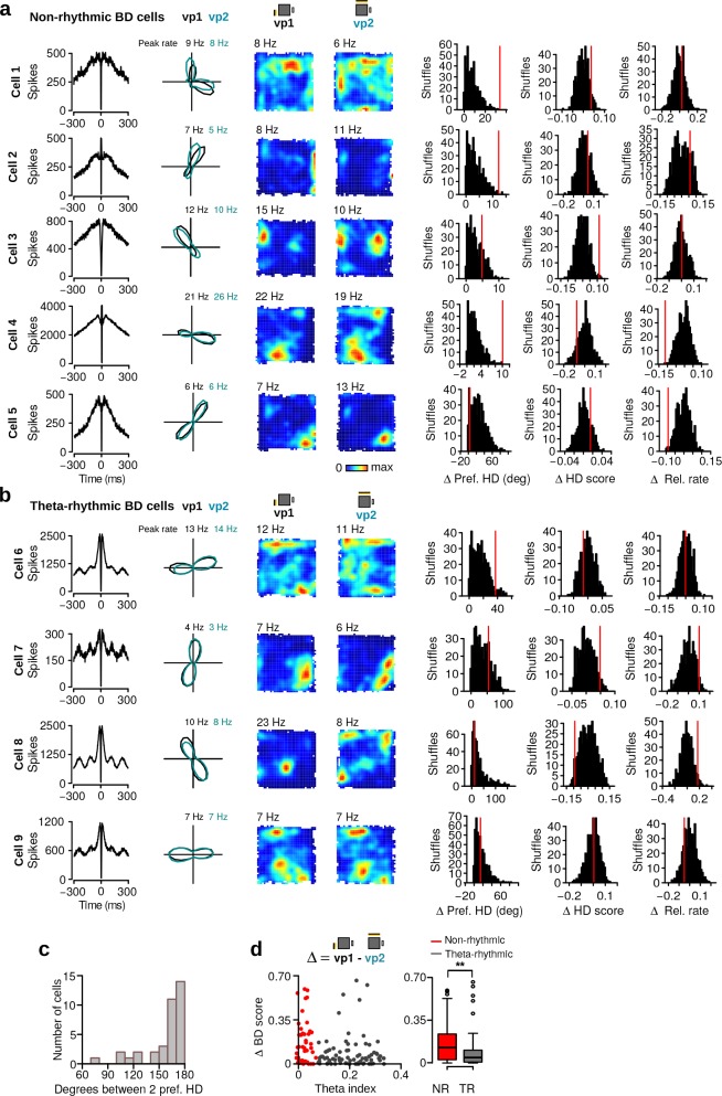 Figure 6—figure supplement 1.