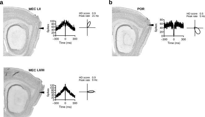 Figure 3—figure supplement 2.