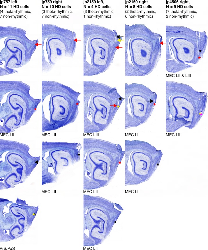 Figure 1—figure supplement 1.