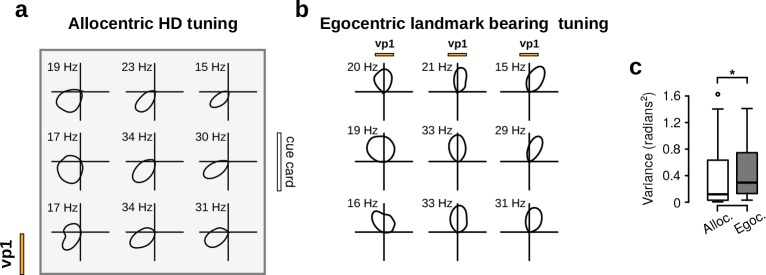 Figure 5—figure supplement 1.