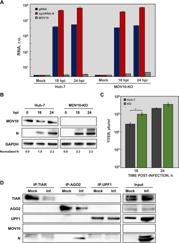 FIG 6