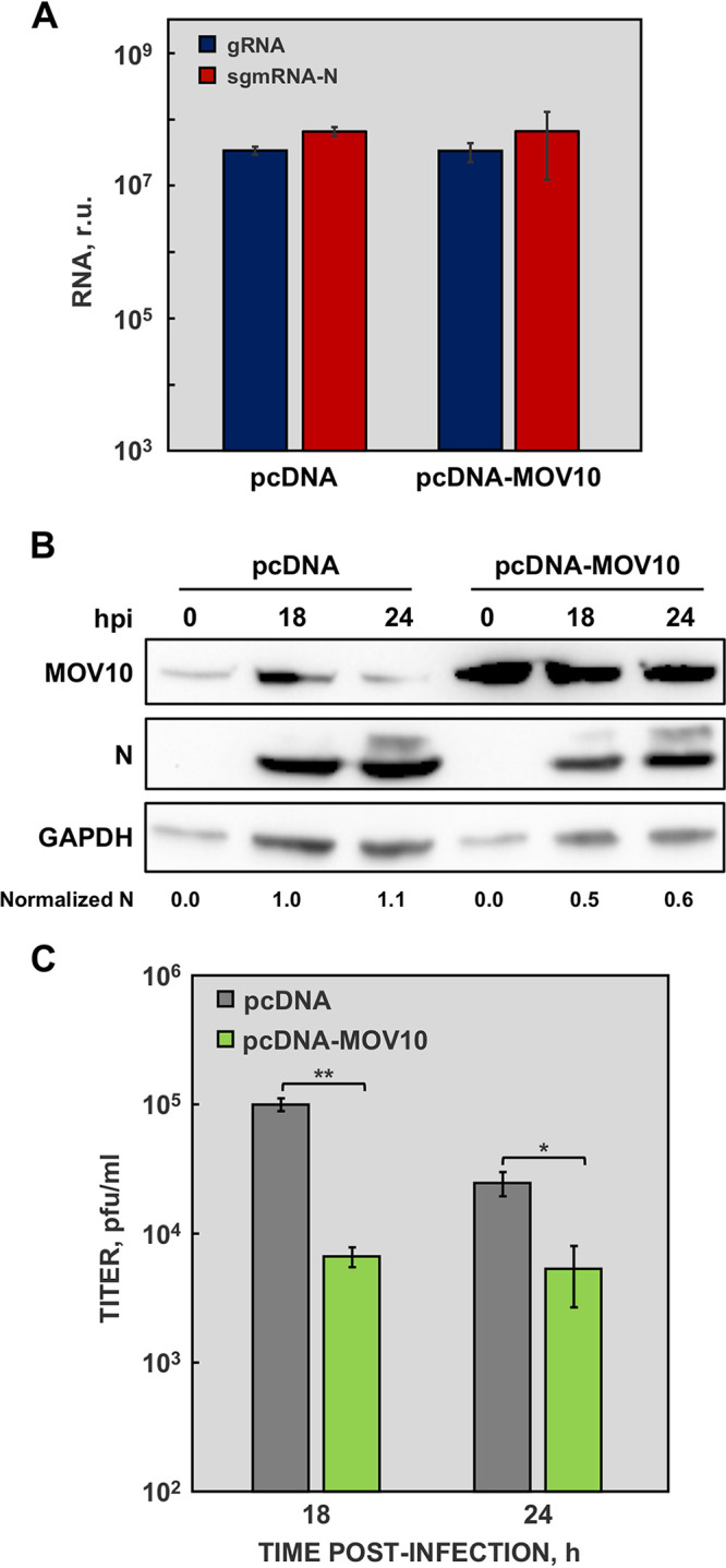 FIG 4