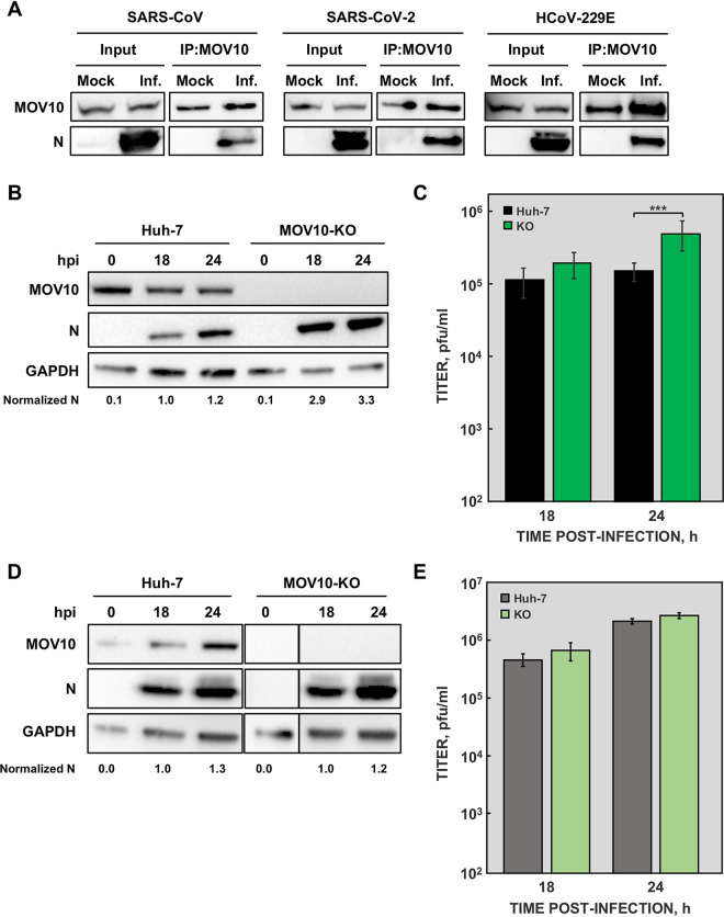 FIG 8