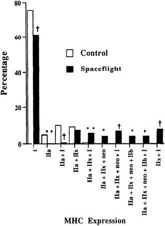 Fig. 6