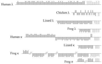 Fig. (2)