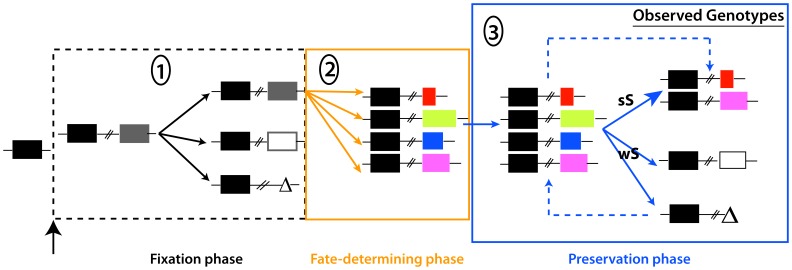 Figure 7