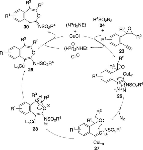 Scheme 3