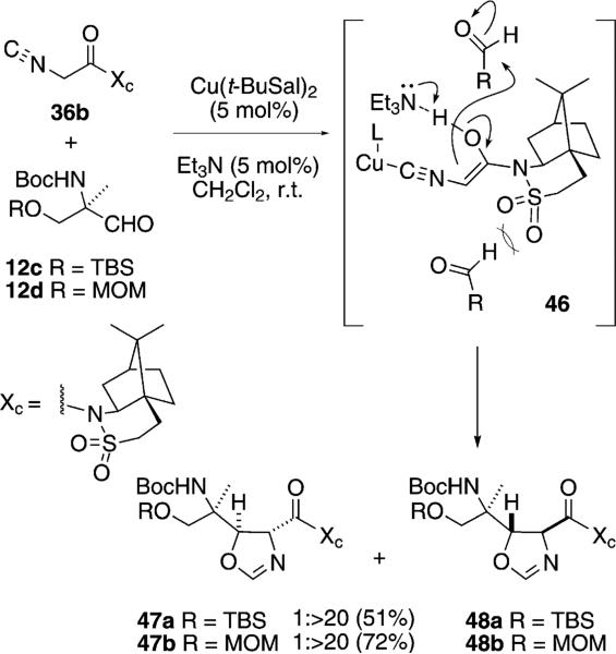 Scheme 6