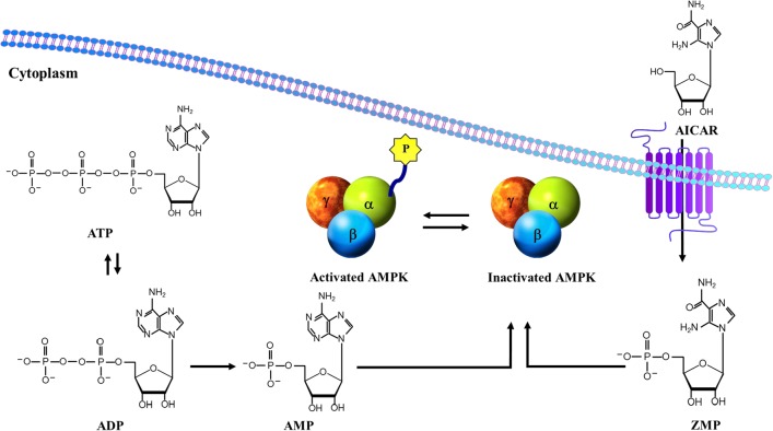 Figure 4.