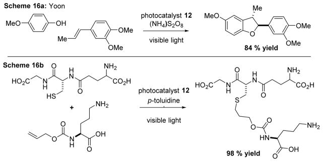 Scheme 16