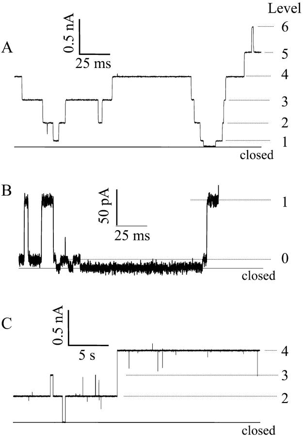 FIGURE 4