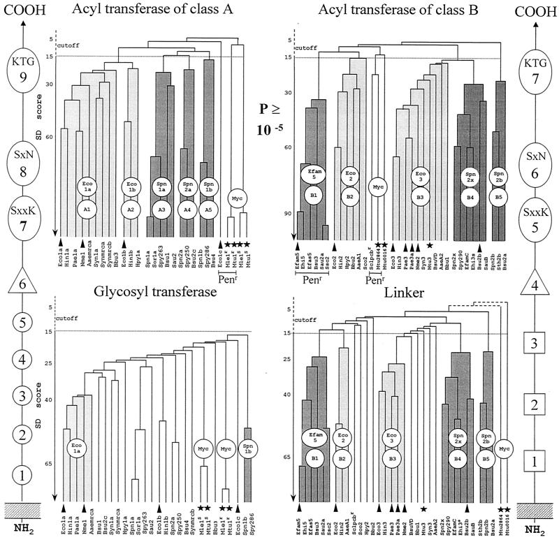 FIG. 10.