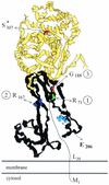 FIG. 13.