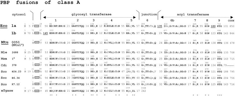 FIG. 11.