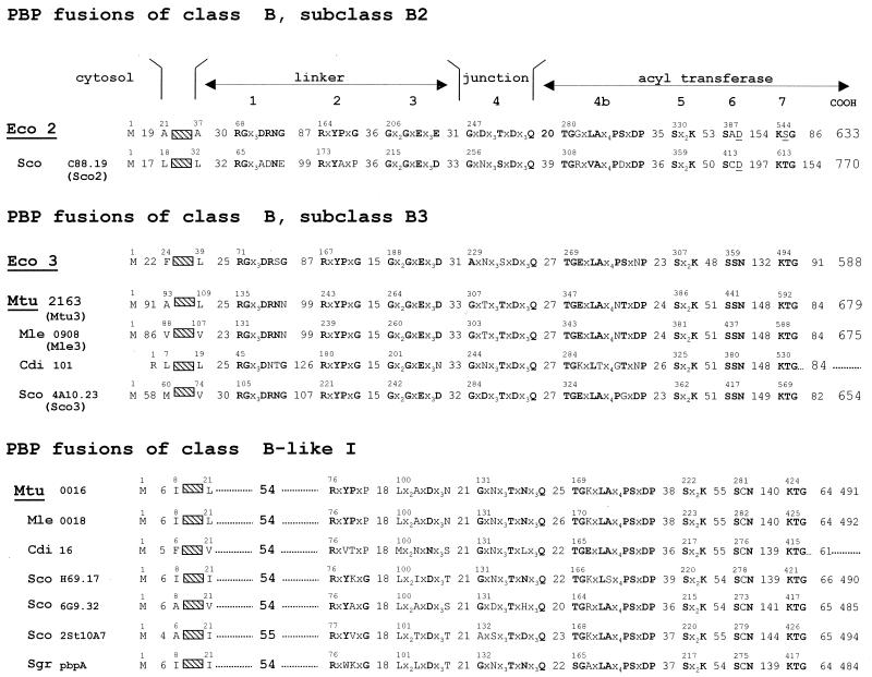 FIG. 12.