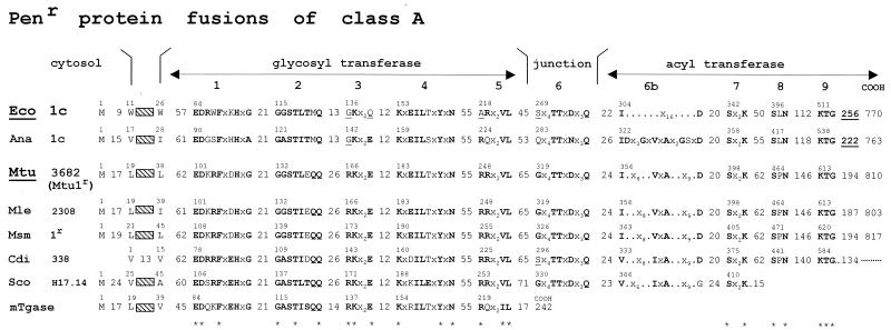 FIG. 17.